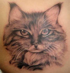 Srdjan tattoo - cat portrait