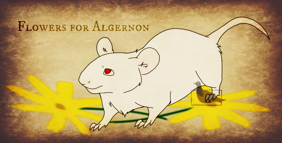 Flowers for Algernon