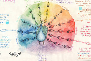 Peacock Colour Wheel