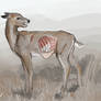 not dead deer