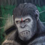 Planet of the Apes (Caesar)