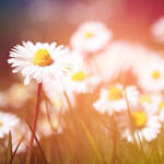 004. by colourcrazy