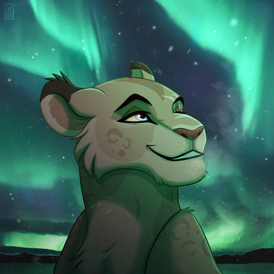 YCH: Northen Lights #3