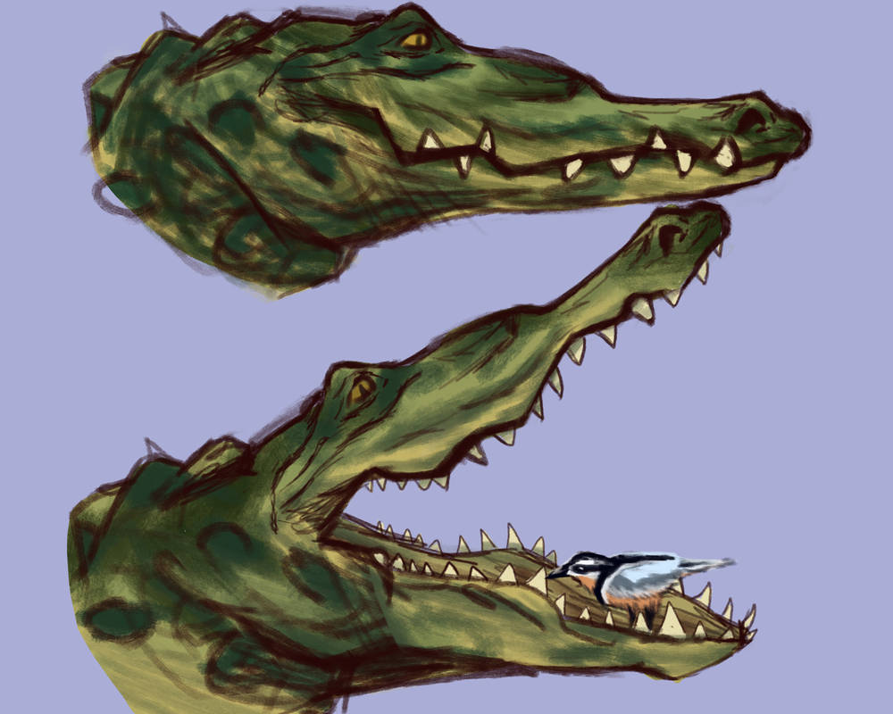 Croc by GregayArt on DeviantArt