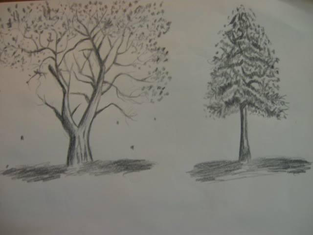 Tree Rough Ketch Rough Sketch of trees. by HollyDoll83 on DeviantArt