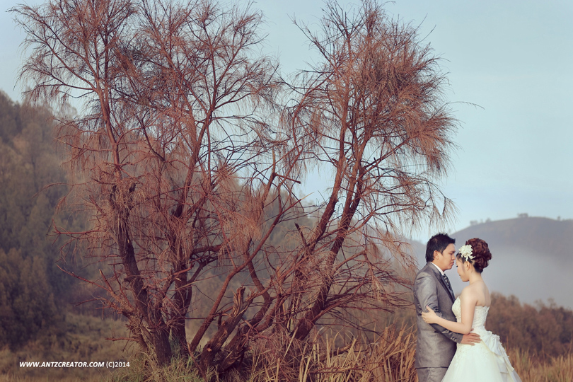Pre wedding at Bromo Mountain, Jawa Timur by antzcreator