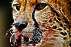 Fractal Cheetah 3