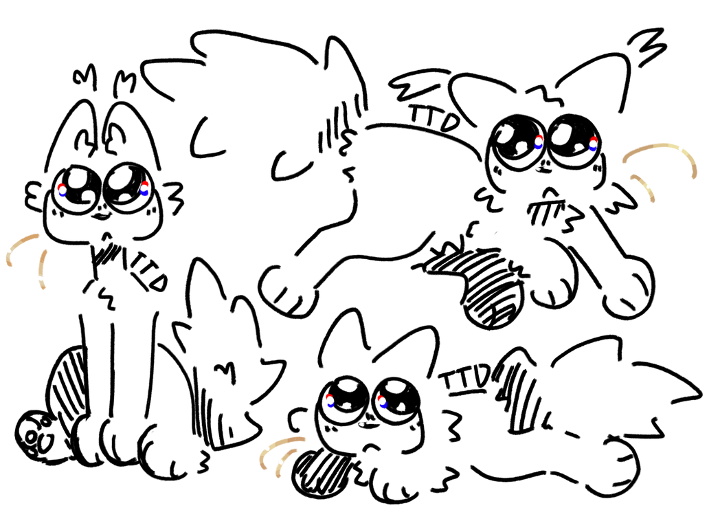 Cat bases by Tabbythedemon24 on DeviantArt