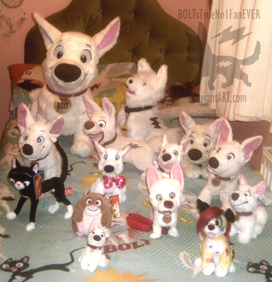 BOLT Plush Collection :Including Unofficial: 2 by BOLTsTrueNo1FanEVER on DeviantArt BOLT Plush Collection :Including Unofficial: 2 by BOLTsTrueNo1FanEVER on DeviantArt