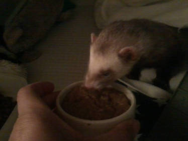 Arya Eating