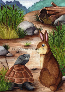 Tortoise and the Hare