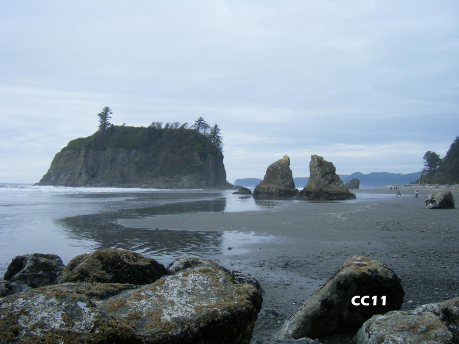 Ruby Beach 18