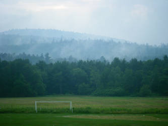 Foggy Day on the Field