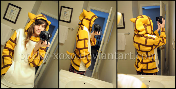 Commission: Sandshrew Hoodie