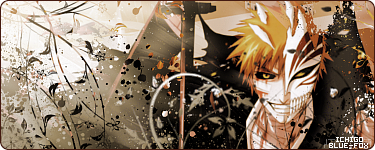 Bleach Signature 2