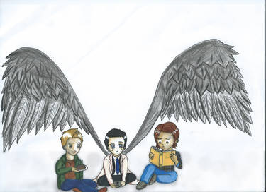 Team Free Will