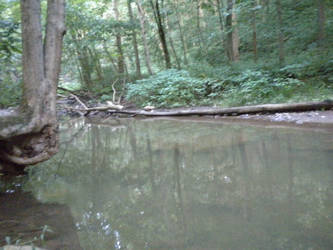 Pond overview