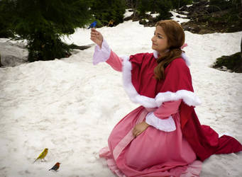 Belle-cosplay-beauty And The Beast  (3)