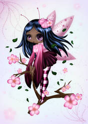 Cherry Blossom Fairy colo