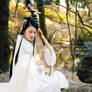 hanfu77