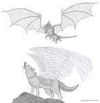 European Dragon and winged Wolf by Guy-Inkognito