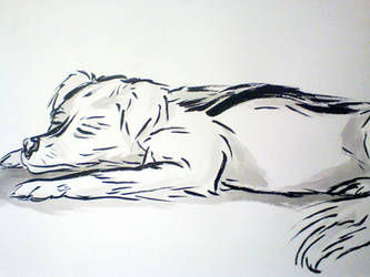 Sleeping Dog