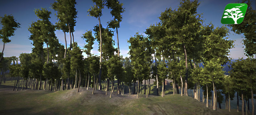 Realistic Tree7 by RakshiGames on DeviantArt