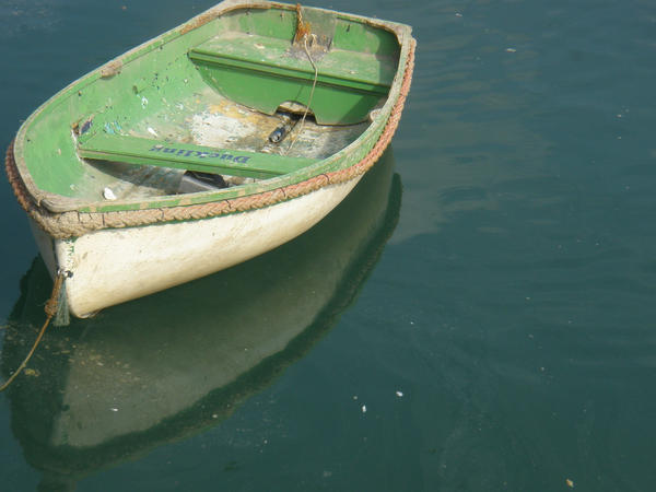 Little Rowing Boat
