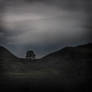 the cradle