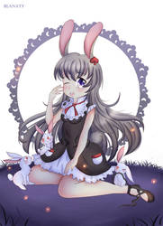 Bunny night