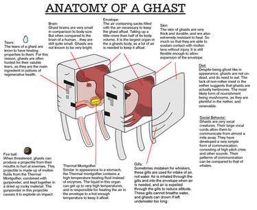 Ghast Anatomy concept, Minecraft