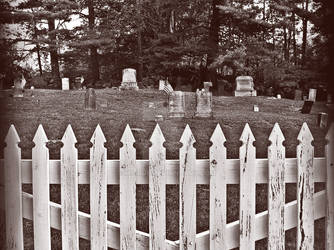 White Picket Fences