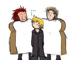 Axel, Roxas, and Demyx 2