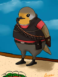 Heavyrobin