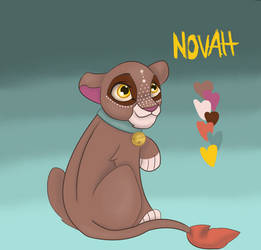 Novah Adoptable reference