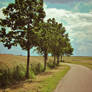 windy.road