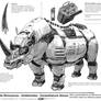 Big Five: Rhino breakdown