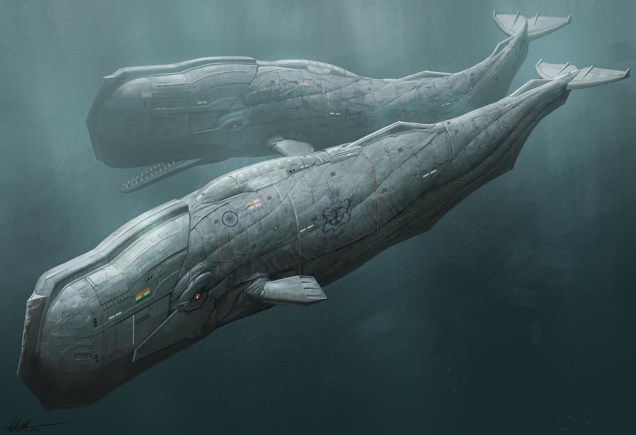Physeter Macrocephalus by CrazyAsian1 on DeviantArt