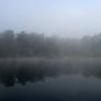 Foggy Lake - 8