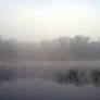 Foggy Lake - 9