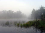 Foggy Lake - 10