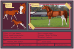 Stable Card Coptic Summons by BVicius
