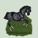 DBVR Moushtaher 16 by BVicius