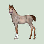 Mousafeerah 329 by BVicius