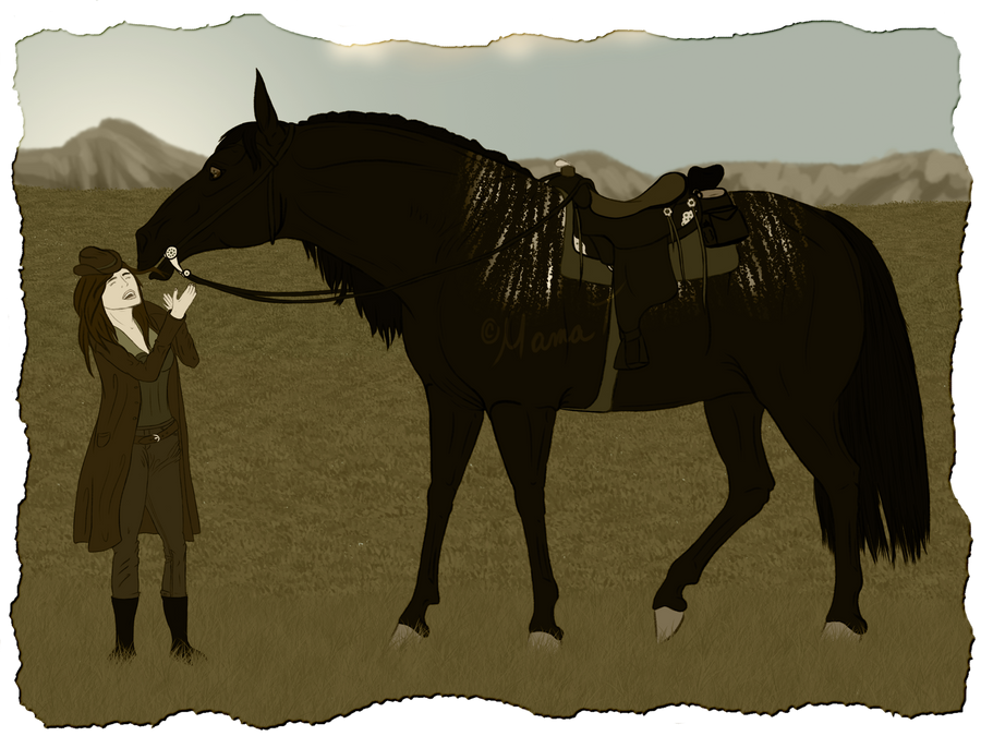 Cowgirls Won't Cry by BVicius