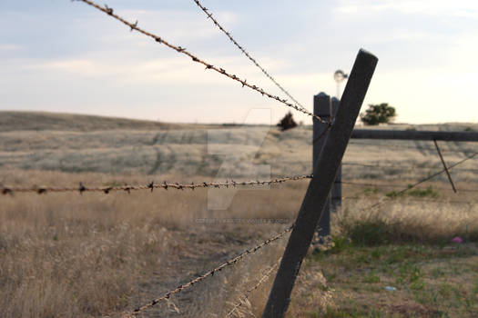 Barbed Wire