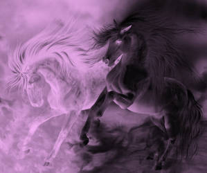 Black and Purple Horses