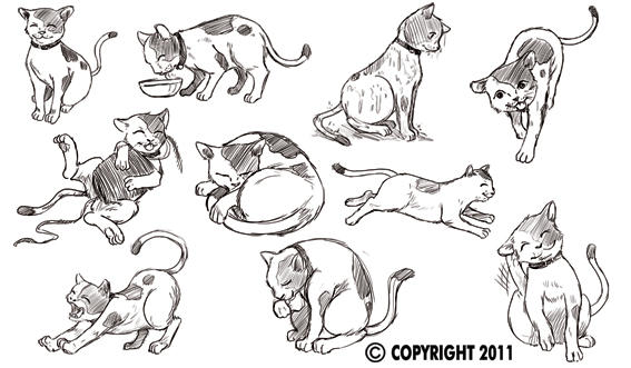 cat in any movement by kevinandy on DeviantArt