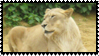 Lioness Stamp