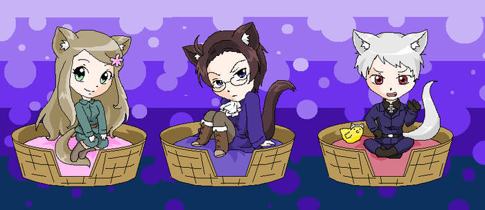 Hetalia Kitties 3